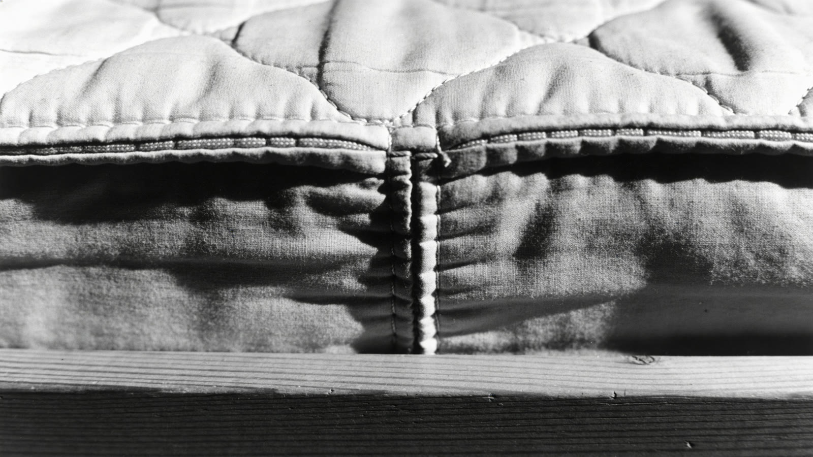 Punaise de lit sur la couture d'un matelas dans un logement loué